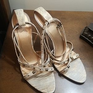 Carlos Santana stilettos